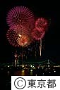 東京湾大華火祭