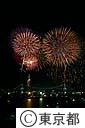 東京湾大華火祭