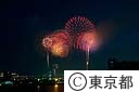 東京湾大華火祭