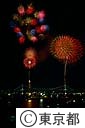 東京湾大華火祭