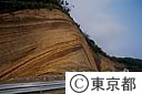 大島間伏の地層切断面