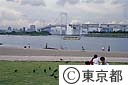夏の終りの台場