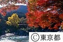 御岳渓谷の紅葉