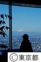 南展望室より富士山を臨む