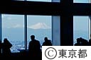 南展望室より富士山を臨む