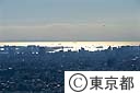 都庁屋上より海方向を臨む