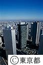 都庁屋上より周辺の高層ビル群