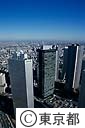 都庁屋上より周辺の高層ビル群
