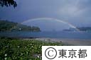 小笠原扇浦海岸の虹