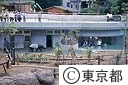 多摩動物公園 マレーバク飼育舎