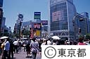 渋谷駅前交差点