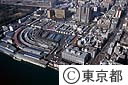 中央卸売市場