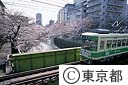 都電と桜と神田川