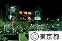 旧古河庭園バラのライトアップ