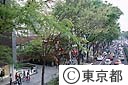 原宿表参道