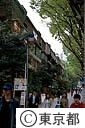 原宿表参道