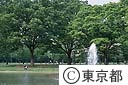 代々木公園