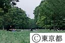 代々木公園