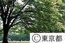 代々木公園