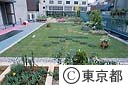 渋谷区役所屋上庭園