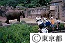 多摩動物公園