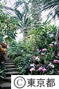 夢の島熱帯植物館