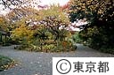 向島百花園