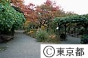 向島百花園