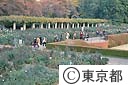 神代植物公園バラ園