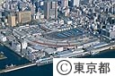 築地中央卸売市場