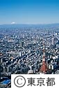 東京タワーと富士山