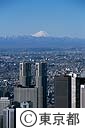 都庁舎と富士山