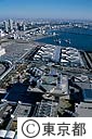 東京国際展示場