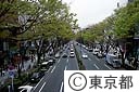 原宿、表参道