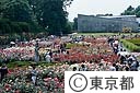神代植物公園のバラ
