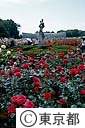 神代植物公園のバラ