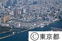 築地中央卸売市場
