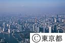 東京全体のイメージ