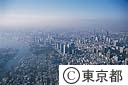 東京全体のイメージ