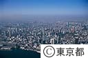 東京全体のイメージ