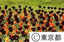 春のフラワーフェスティバル（チューリップ）