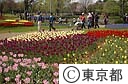 春のフラワーフェスティバル（チューリップ）