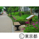 二次元コード（ＱＲコード）の案内板が設置されている公園