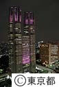 都庁舎ライトアップ（乳がん月間　ピンクリボン in 東京 ２００８）