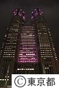 都庁舎ライトアップ（乳がん月間　ピンクリボン in 東京 ２００８）