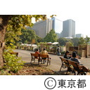 東京ガーデンジュエリー２００６