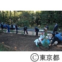 花粉の少ない森づくり運動 伐採開始式