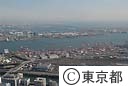 空撮（大井埠頭）