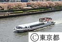 隅田公園の桜と水上バス