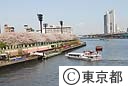 隅田公園の桜と水上バス